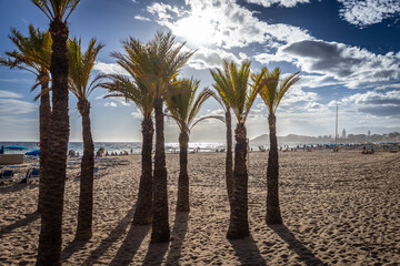Widok na plażę, palmy i morze śródziemne na brzegu Hiszpańskiego miasta Benidorm na Costa Blanca - obrazy, fototapety, plakaty