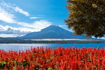 Fototapeta premium (山梨県ｰ風景)秋の山中湖と富士山４