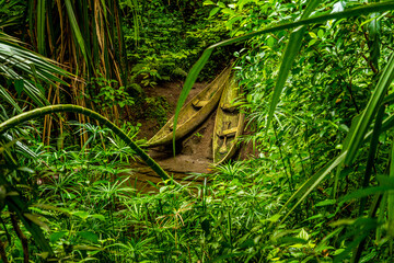 Old indigenous wooden dugout canoe in dense wet rainforest nature park.