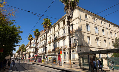 View of vibrant cobbled street with tram tracks, typical architecture and tall palm trees in French city of Montpellier on sunny summer day .