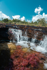 Landscape of the Caño Cristales river in the La Macarena national park. Colombia. 