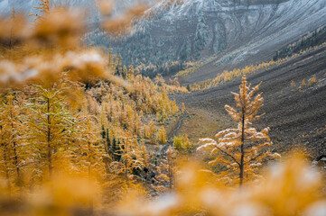 Autumn hike in Canadian Rockies
