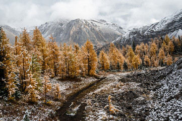Autumn hike in Canadian Rockies
