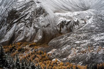 Autumn hike in Canadian Rockies