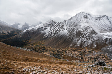 Autumn hike in Canadian Rockies