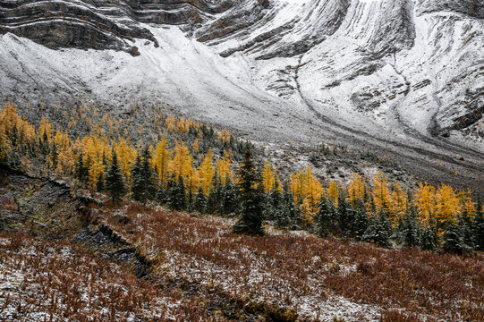 Autumn hike in Canadian Rockies