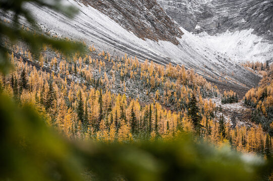Autumn hike in Canadian Rockies