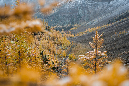 Autumn hike in Canadian Rockies
