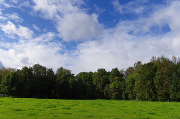 Naturalny krajobraz Belgii.