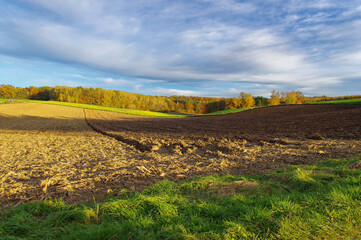 Krajobraz jesienny na Lubelszczyźnie w Polsce.