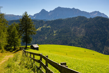 Scenic view of high rocky peaks of Italian Dolomites with alpine meadows and lush green forest slopes on sunny summer day..