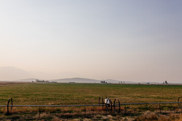 A picturesque highway among mountains and yellow dry grass on a sunny autumn day. Beautiful autumn panorama. California, USA in autumn