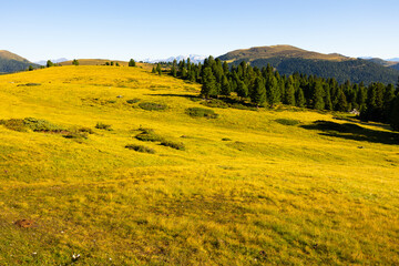 Fototapeta premium Breathtaking Dolomite Alps rise majestically, showcasing their rugged beauty under pristine sky.
