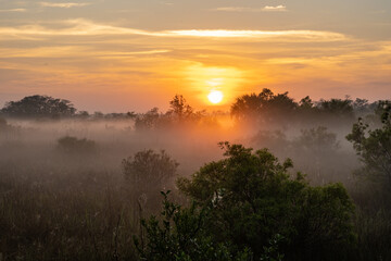 Bright Orange Sun Rises Over Foggy Morning In The Everglades