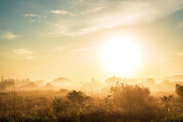 Fototapeta premium Bright Sun Rises Over Foggy Field