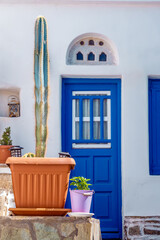 A potted cactus positioned against the backdrop of a vibrant blue door