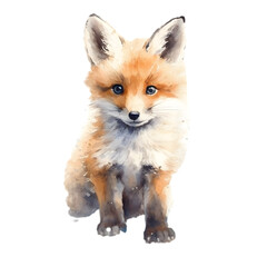 Fototapeta premium Watercolor painting of cute fox cub art