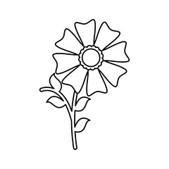 Flower Vector Illustration Lines