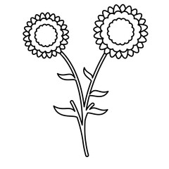 Flower Vector Illustration Lines