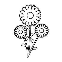 Flower Vector Illustration Lines