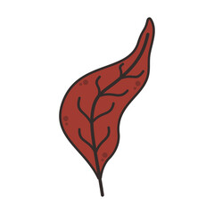 Leaf Element Vector Illustration 