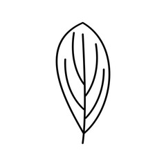 Leaf Lines Icon Vector Illustration 