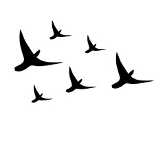 Flock of Bird Flying Vector Illustration 