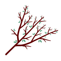 Trees Branches with Leaf Vector Design 