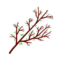 Fototapeta premium Trees Branches with Leaf Vector Design 