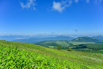 Fototapeta na wymiar 青空バックに見る夏の車山高原の情景