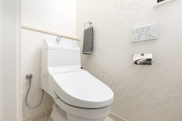 日本の平均的な住宅の一般的な仕様のシャワートイレ - obrazy, fototapety, plakaty