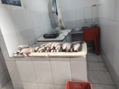 Soure, ilha de maraj&oacute;