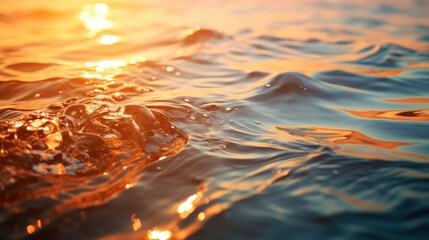 The warm glow of sunset on the water’s surface