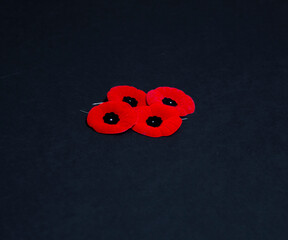 Remembrance Day poppy flowers