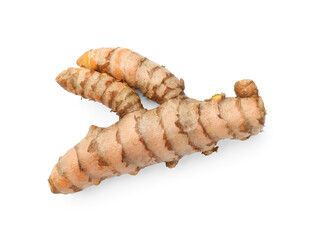 One fresh turmeric root isolated on white, top view