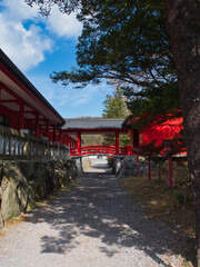 赤城神社と周辺の紅葉