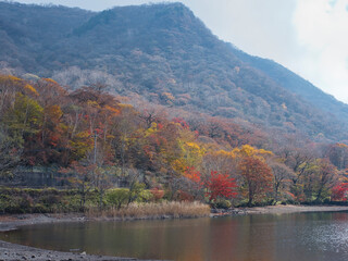 赤城神社と周辺の紅葉