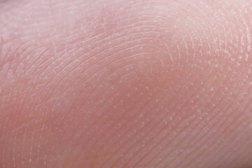Friction ridges on finger as background, macro view