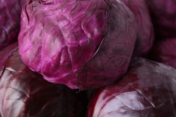 Obraz premium Many whole red cabbages as background, closeup