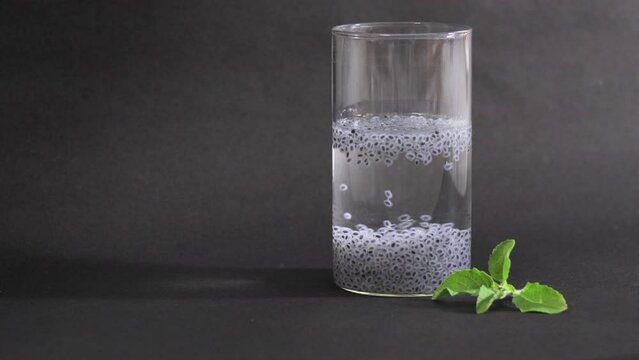 sabja or sweet basil seeds soaked in water in a glass. Consuming this has many health benefits and this diet promotes weight loss. 