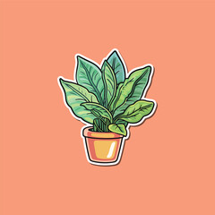 chinese evergreen sticker. kawaii cartoon illustration