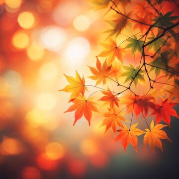 autumn maple leaves on blurred background. vintage style toned picture