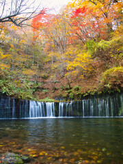 秋の白糸の滝