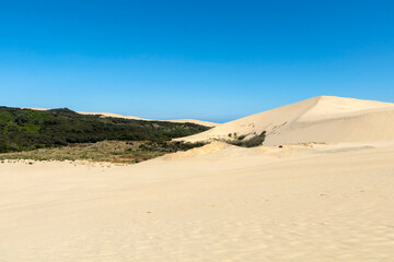 Cape Reinga Iconic Te Paki Giant Sand Dunes: A Natural Wonder and Tourist Attraction in Northland, New Zealand