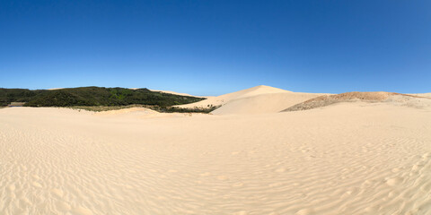 Cape Reinga Iconic Te Paki Giant Sand Dunes: A Natural Wonder and Tourist Attraction in Northland, New Zealand