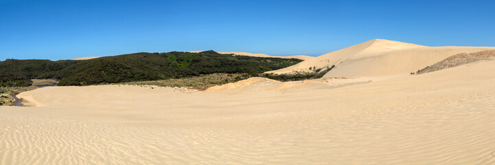 Fototapeta na wymiar Cape Reinga Iconic Te Paki Giant Sand Dunes: A Natural Wonder and Tourist Attraction in Northland, New Zealand