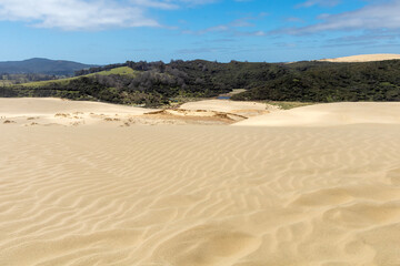 Cape Reinga Iconic Te Paki Giant Sand Dunes: A Natural Wonder and Tourist Attraction in Northland, New Zealand