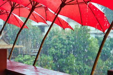 Chiang Rai with rain and red umbrella　赤い傘と雨の降る田舎の風景　タイ・チェンライ - obrazy, fototapety, plakaty