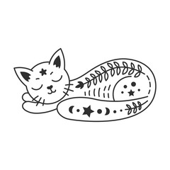 Celestial cat sleep doodle. Cute sleeping kitten with floral ornament, lines and stars. Esoteric, occult, kids concept design.