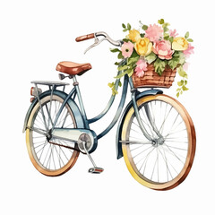 Fototapeta na wymiar cycle flowers invitation rose sketch watercolor wedding drive greeting graphic wheel ride elegant